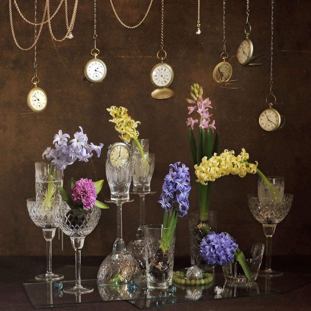 Фотография автора ТАТЬЯНА ЗАХАРОВА