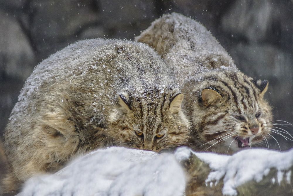 Photograph by Михаил Измайлов