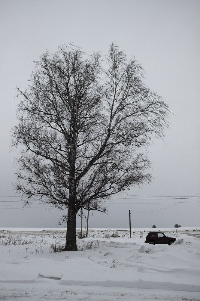 Фотография автора Андрей Рогов