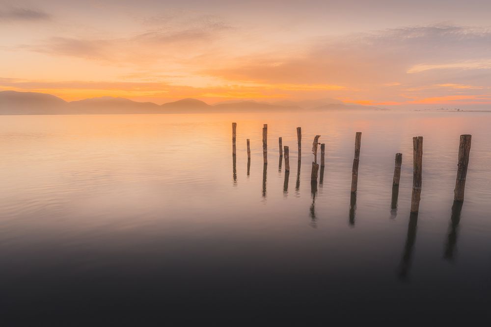 Фотография автора Adele Ferrari