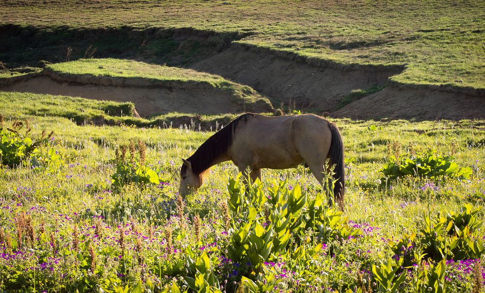 Фотография автора Вадим Коваленко