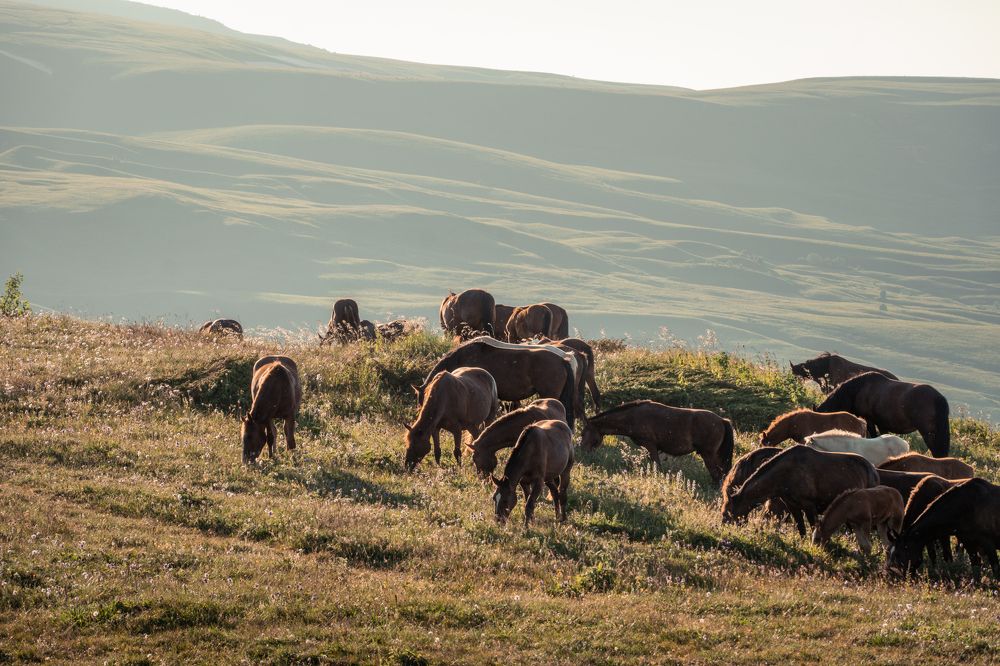 Фотография автора Вадим Коваленко