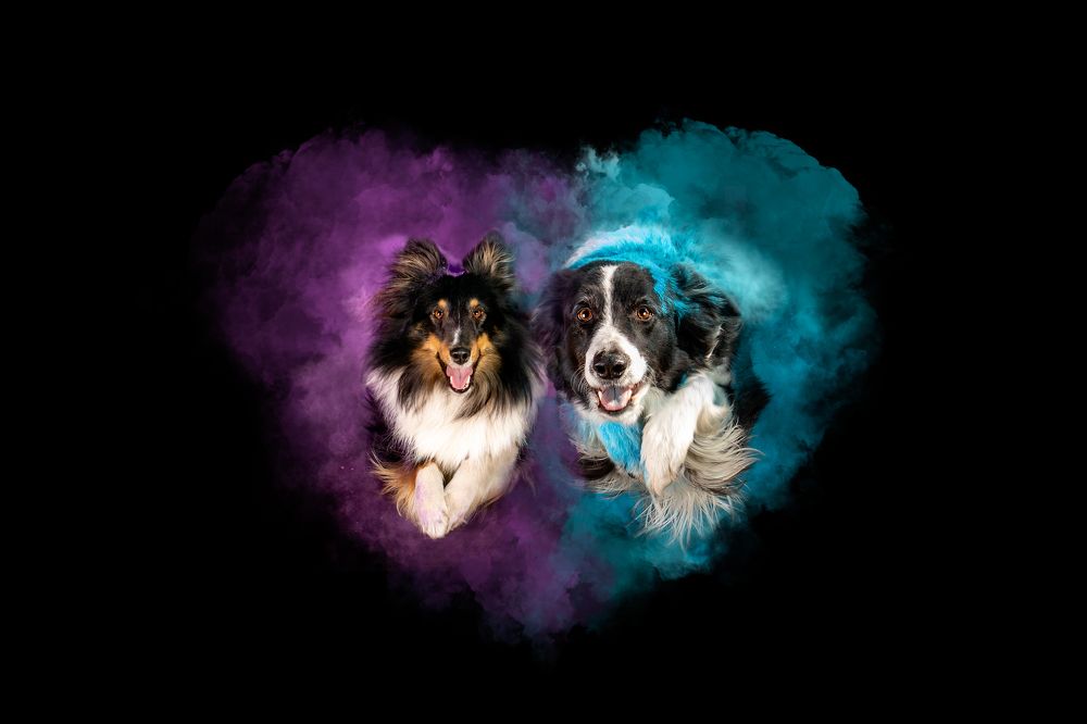 Photograph by Sandra