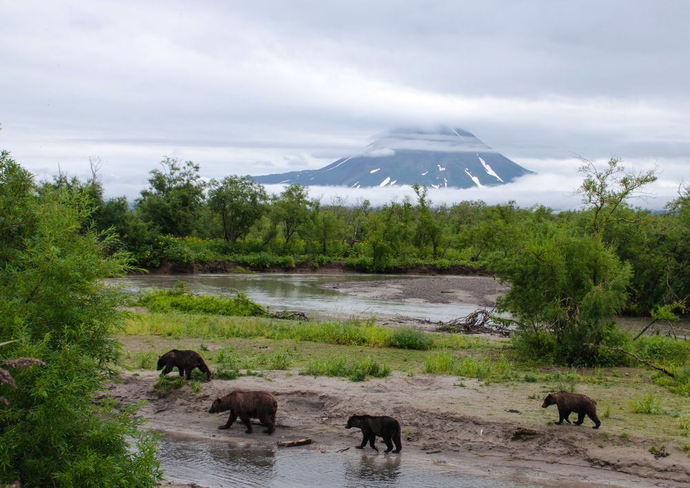 Photograph by Татьяна ТУРСКАЯ