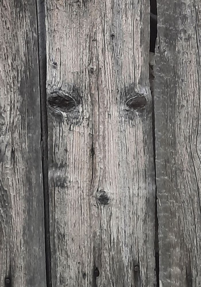 СПАС НЕРУКОТВОРНЫЙ