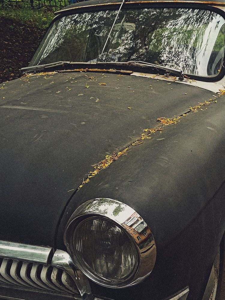 Photograph by Тимур Быков