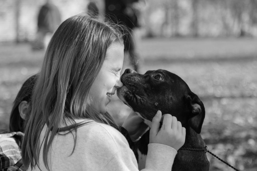 Фотография автора Андрей Колоденков