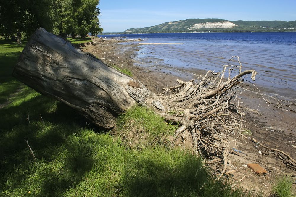 Photograph by Олег Мельченков