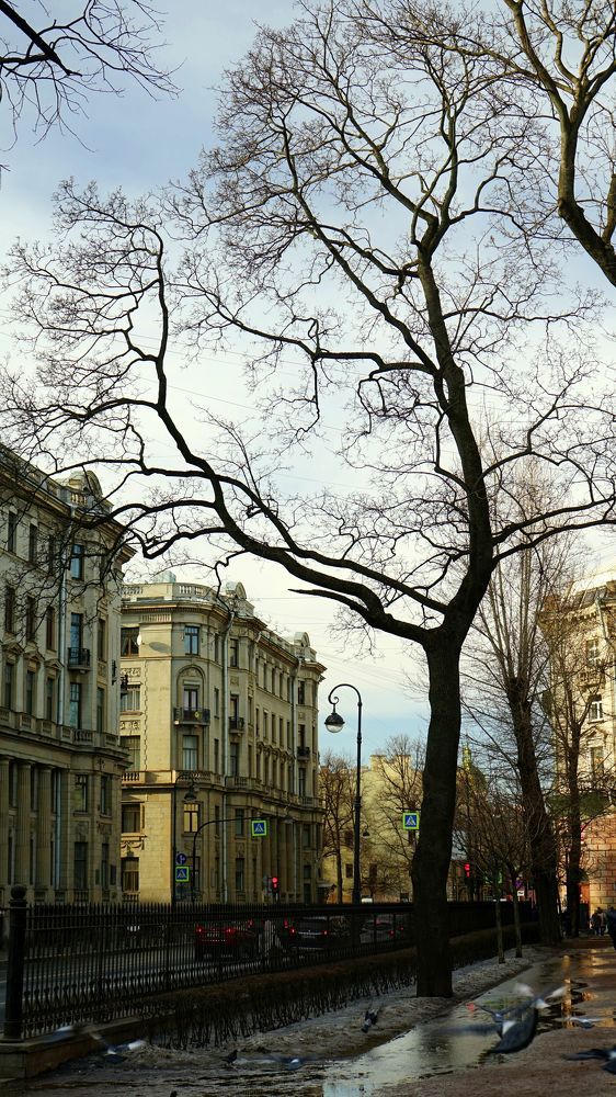 Photograph by АНДРЕЙ ОБРЯДОВ