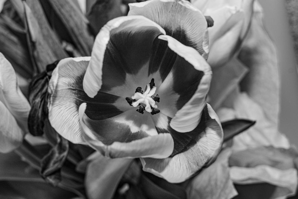 Photograph by Ирина