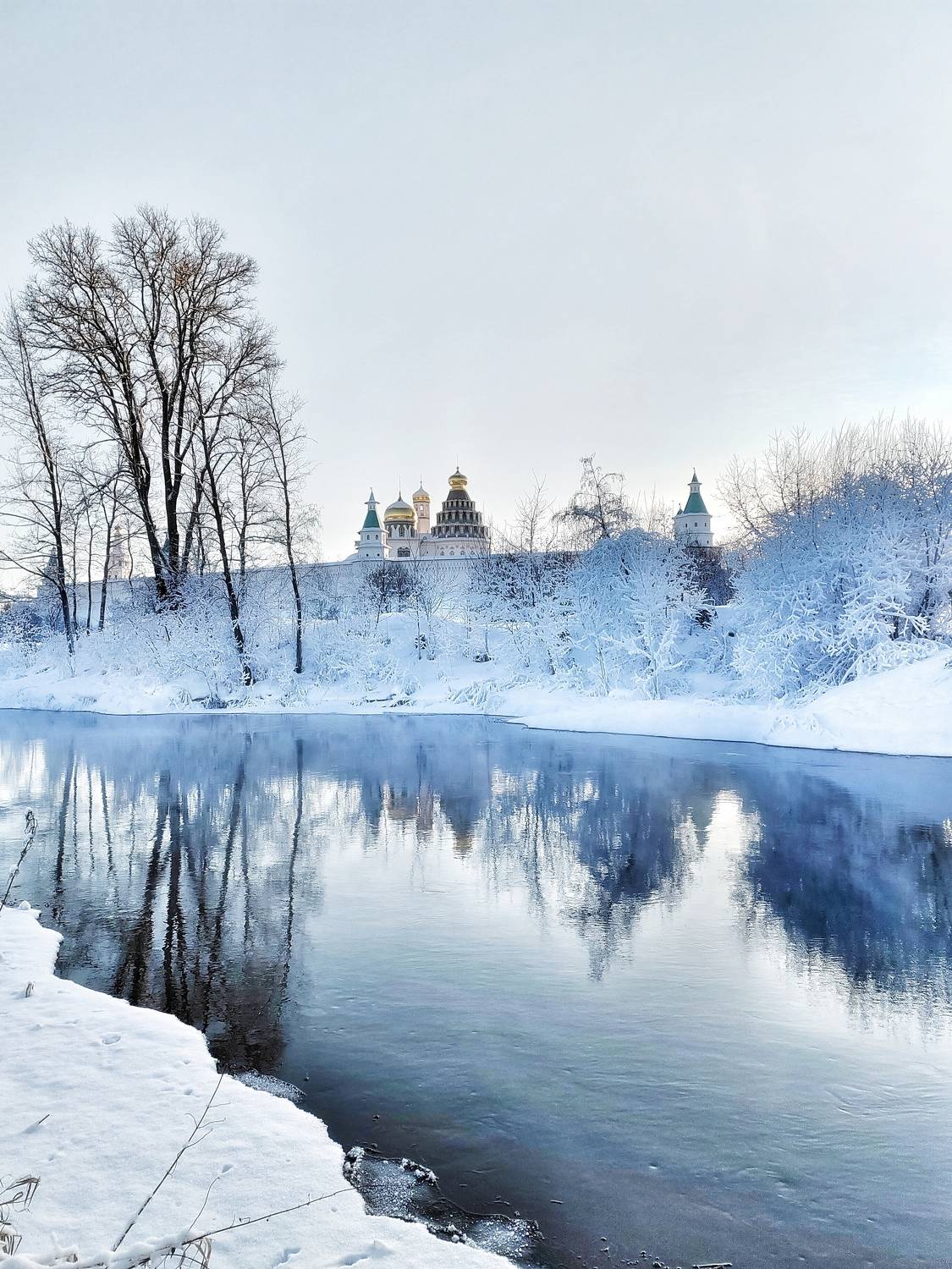 Photo #10475726