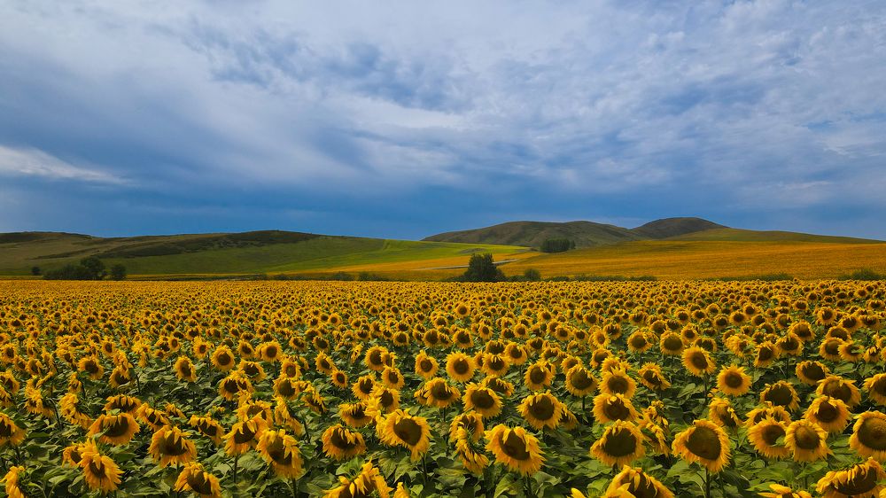 Фотография автора Ekaterina Korobova