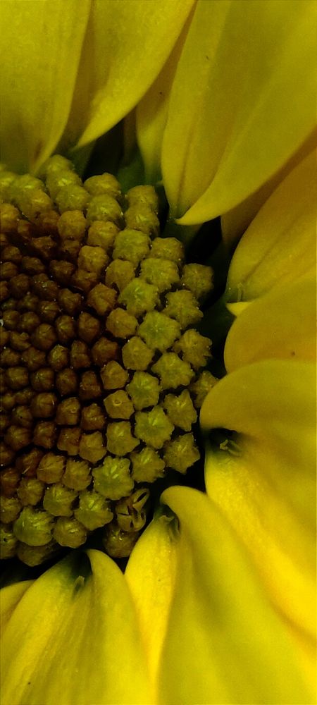 Photograph by Анна Курлова