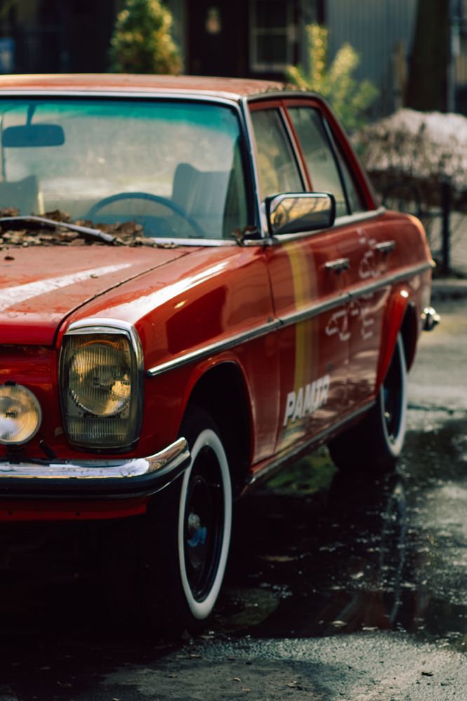 Photograph by Сергей Кутьин