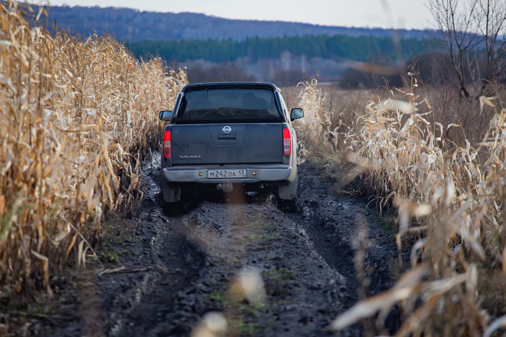 Фотография автора Дмитрий Новиков