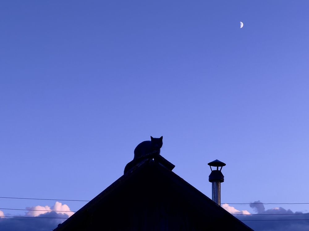 Photograph by Olga Filatova