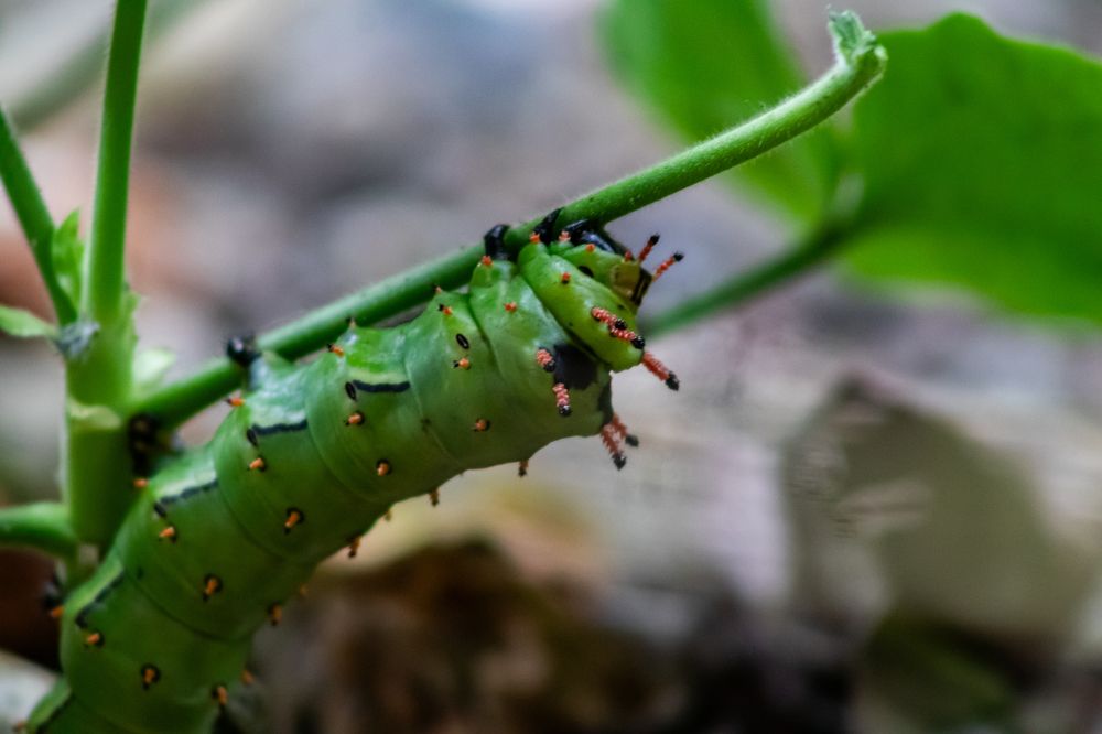 Photograph by Juliana