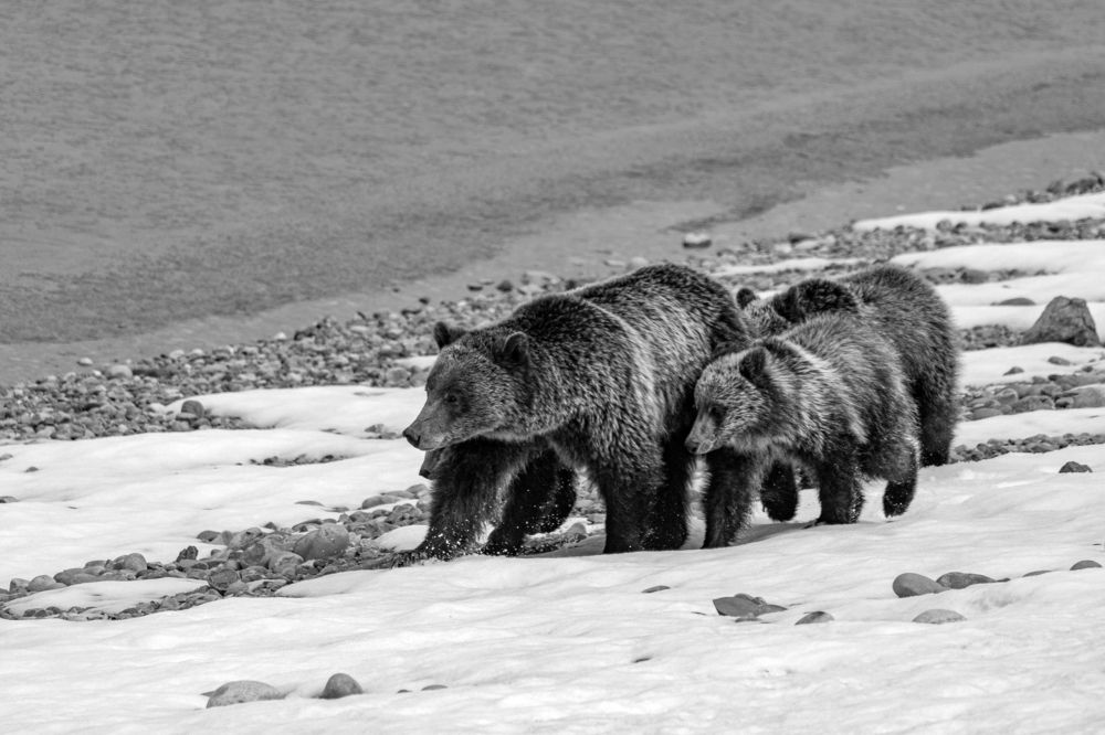 Photograph by Brian Kinghorn