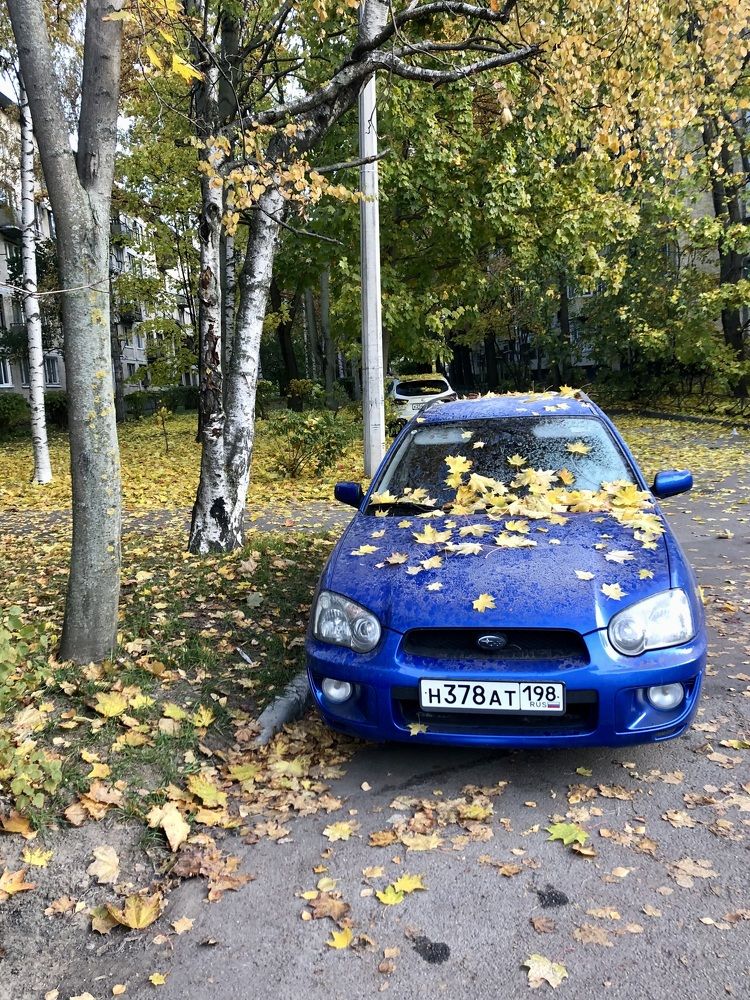 Photograph by Галина Пименова