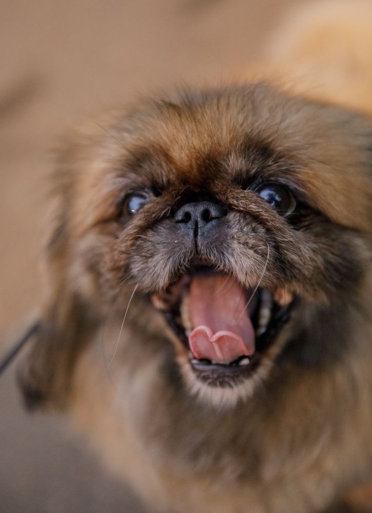 Photograph by Макс Vegas