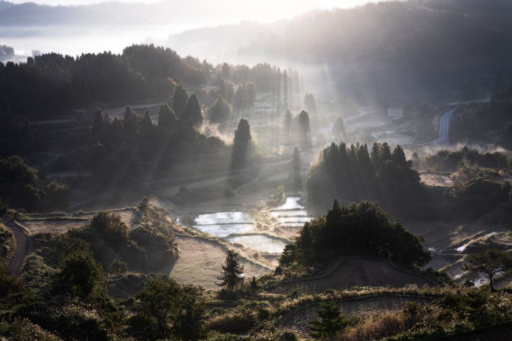 Photograph by NAGUMO SHUTO