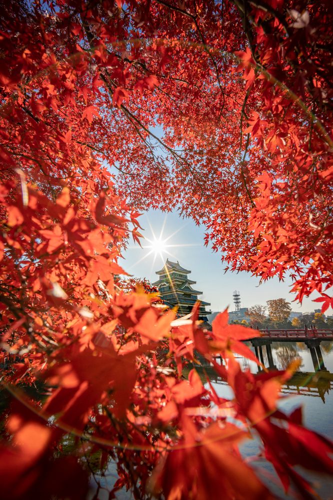 Photograph by NAGUMO SHUTO