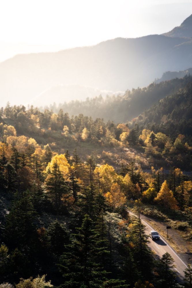 Photograph by NAGUMO SHUTO