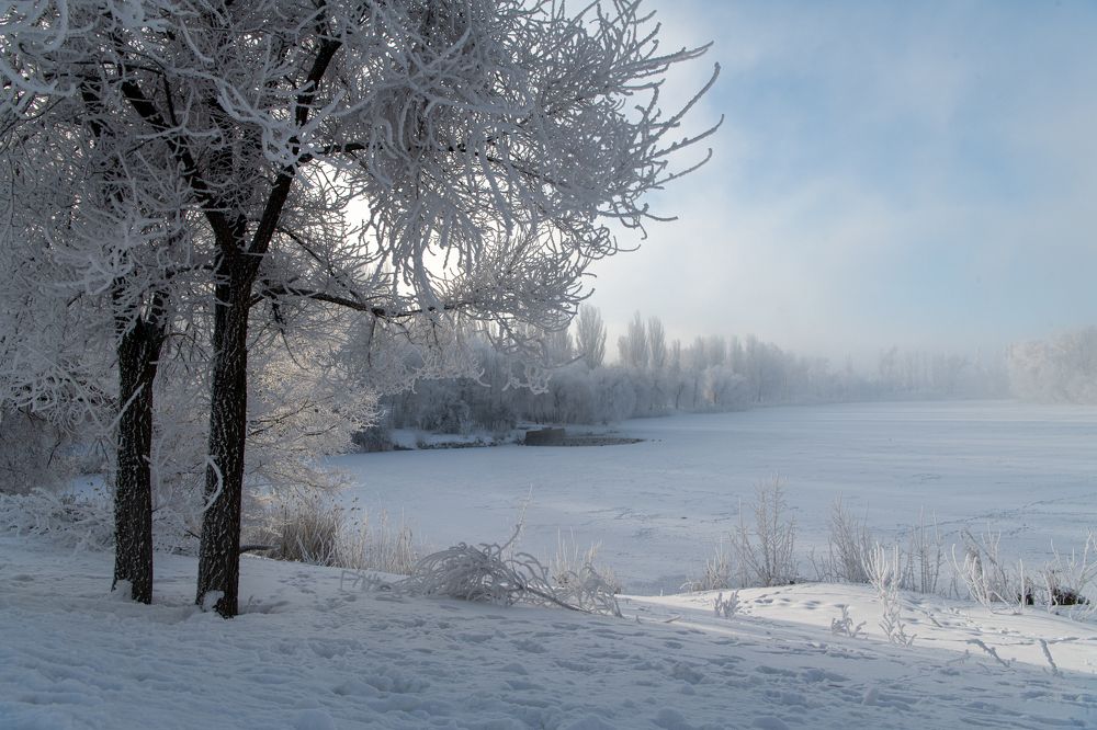 Photograph by Olga Egelnitskaya