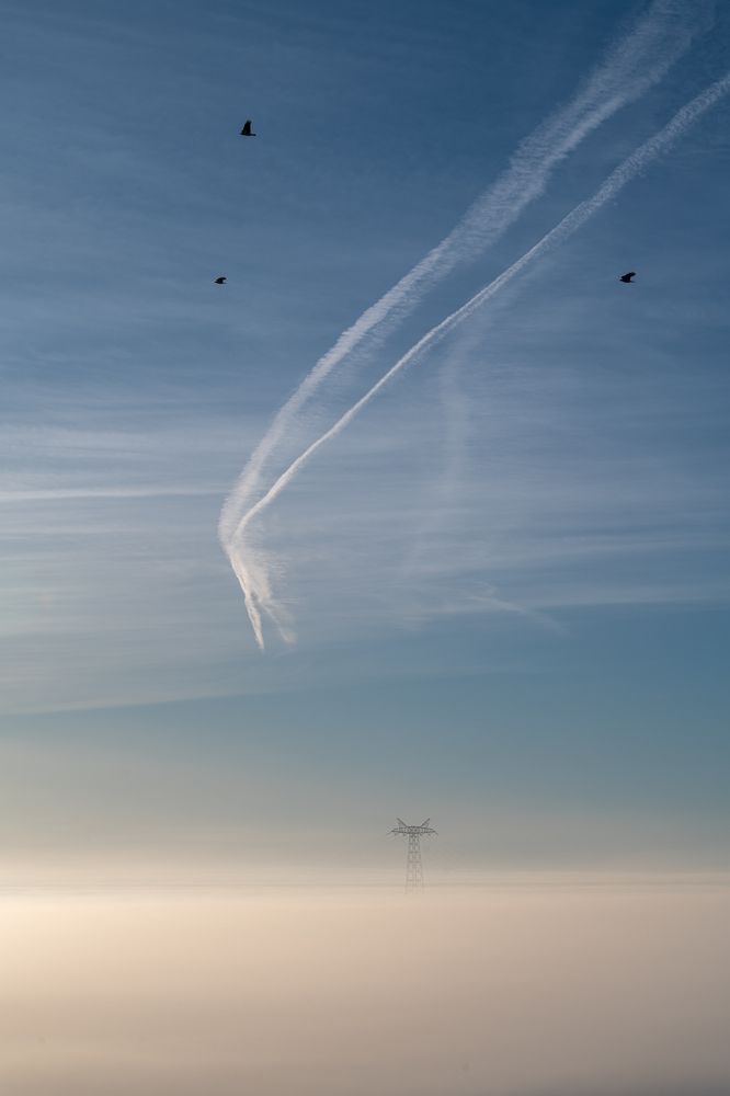 Photograph by Olga Egelnitskaya