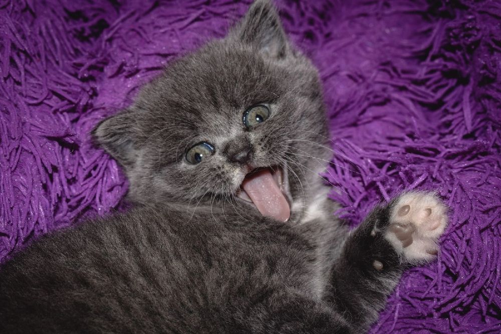 Photograph by Любовь Пронченкова