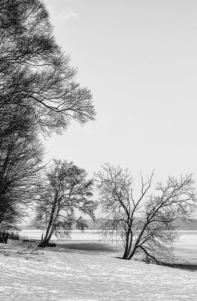 Фотография автора Елена Меньшикова