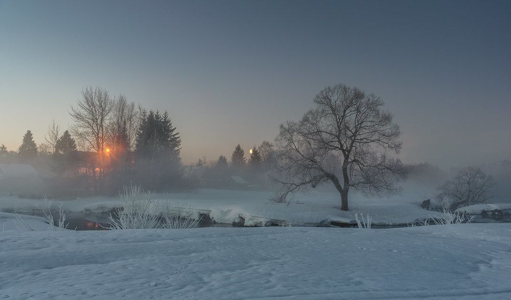 Photograph by Андреев Николай