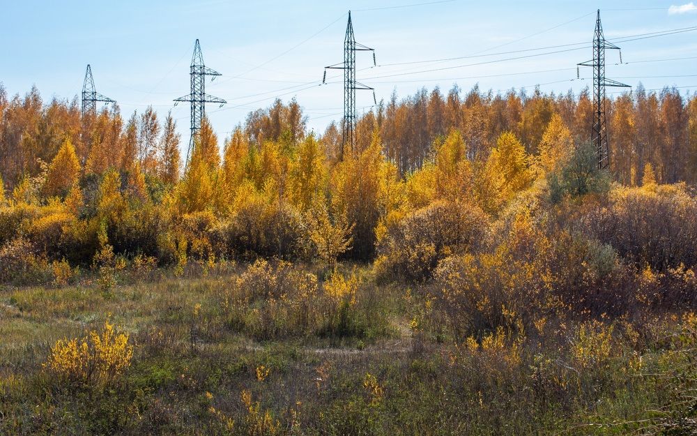 Photograph by Валерий Федяров
