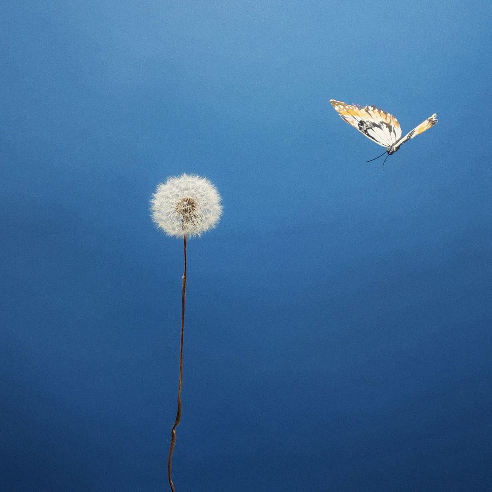 Photograph by Александр Горбенко