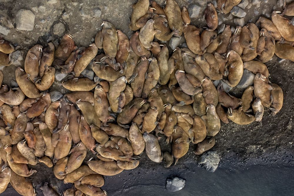 Photograph by Алена Присяжная