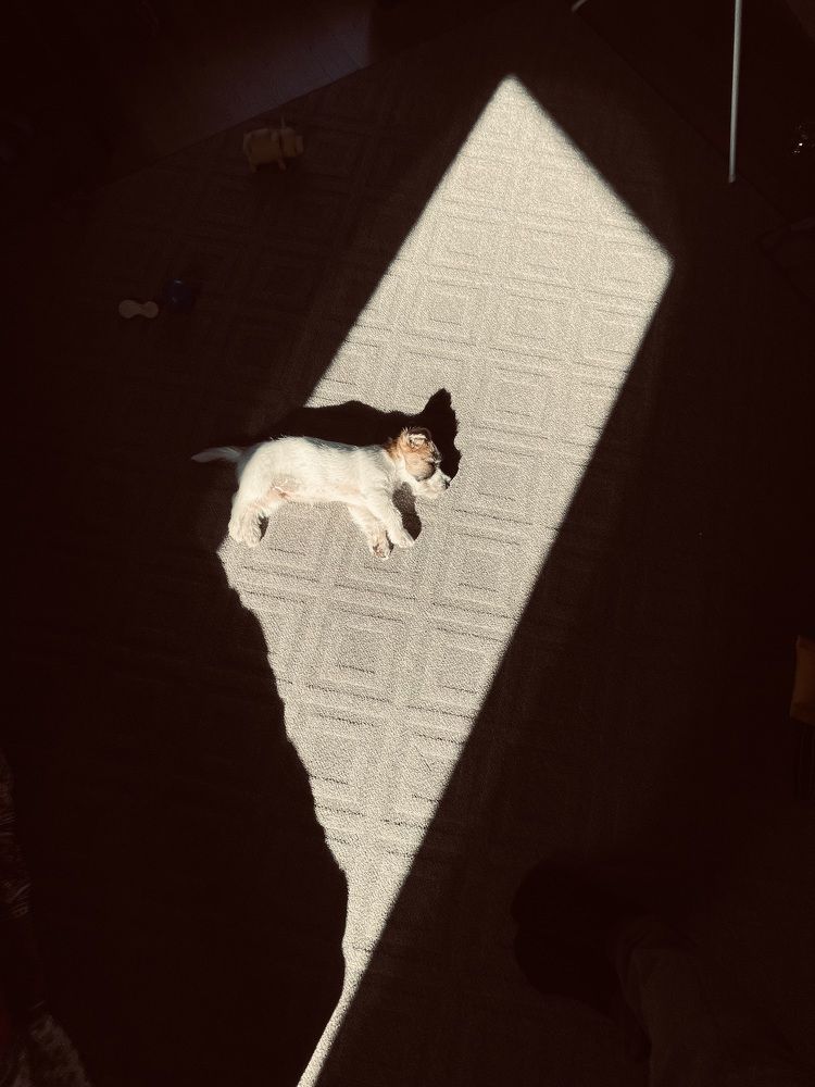 Photograph by Валерий Кочергин