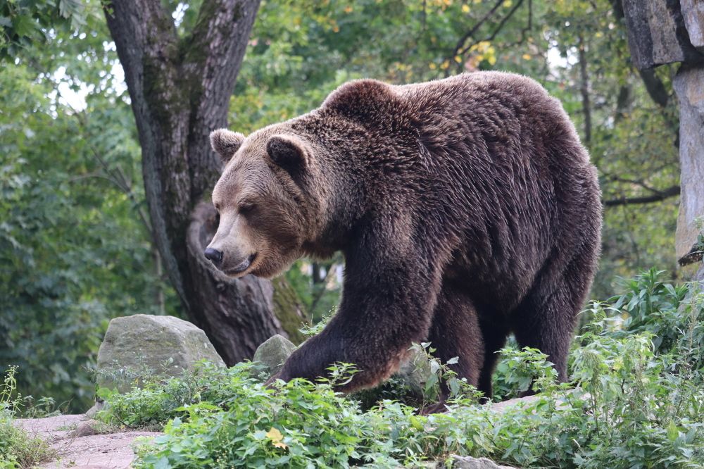 Photograph by Алексейчик Дмитрий