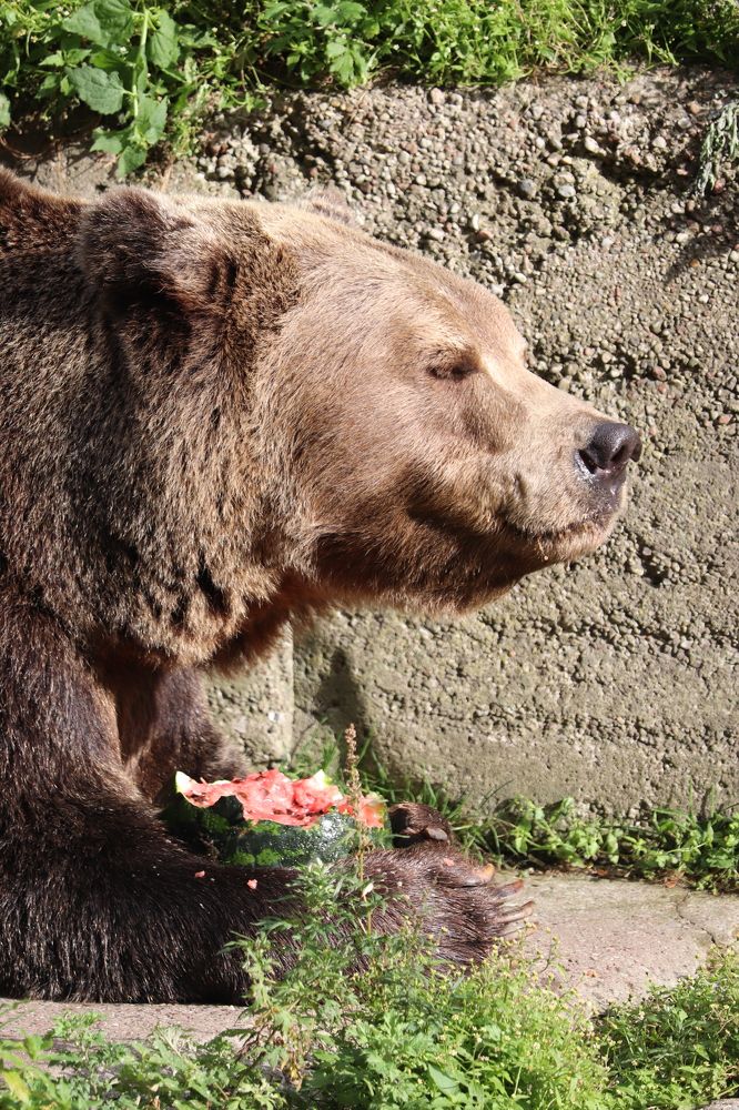 Photograph by Алексейчик Дмитрий