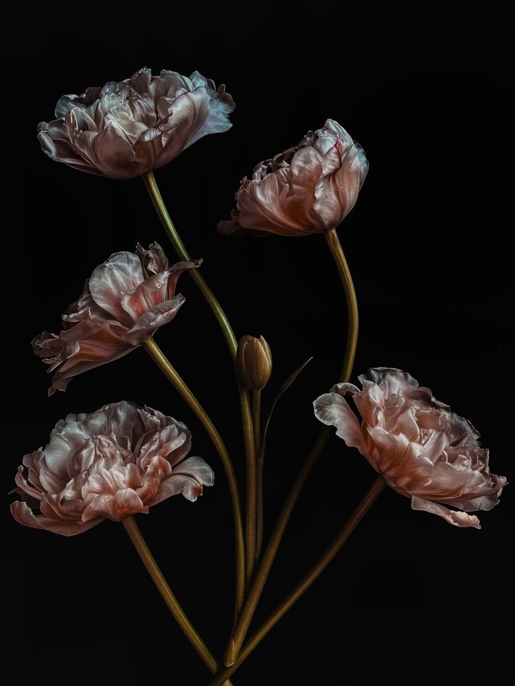 Photograph by Олена Уманцева