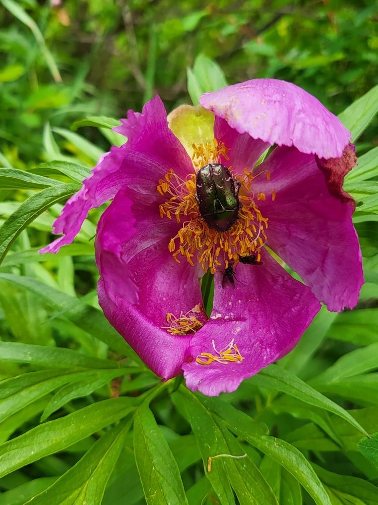 Photograph by Ирина Клиновицкая