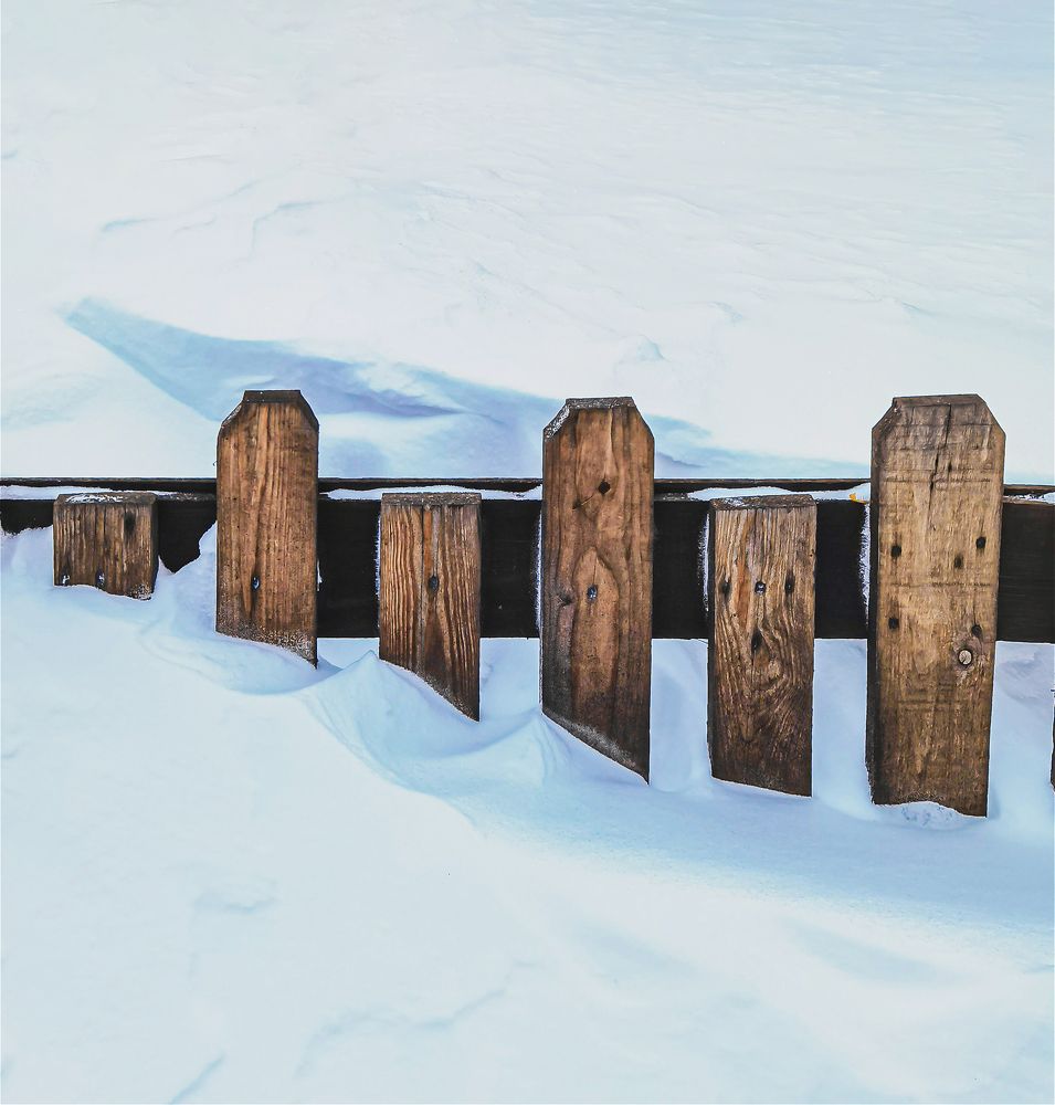 Photograph by Karlos