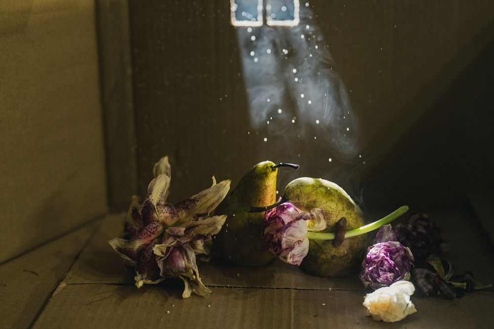 Photograph by Анна Красовицкая