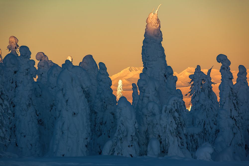 Photograph by Сергей Фомин