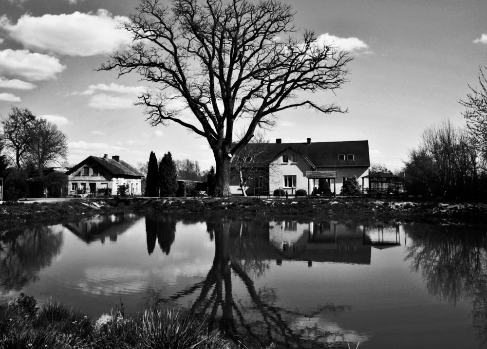 Photograph by Луценко Роман