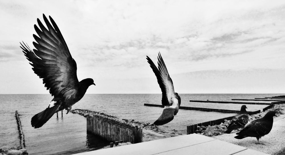 Photograph by Луценко Роман