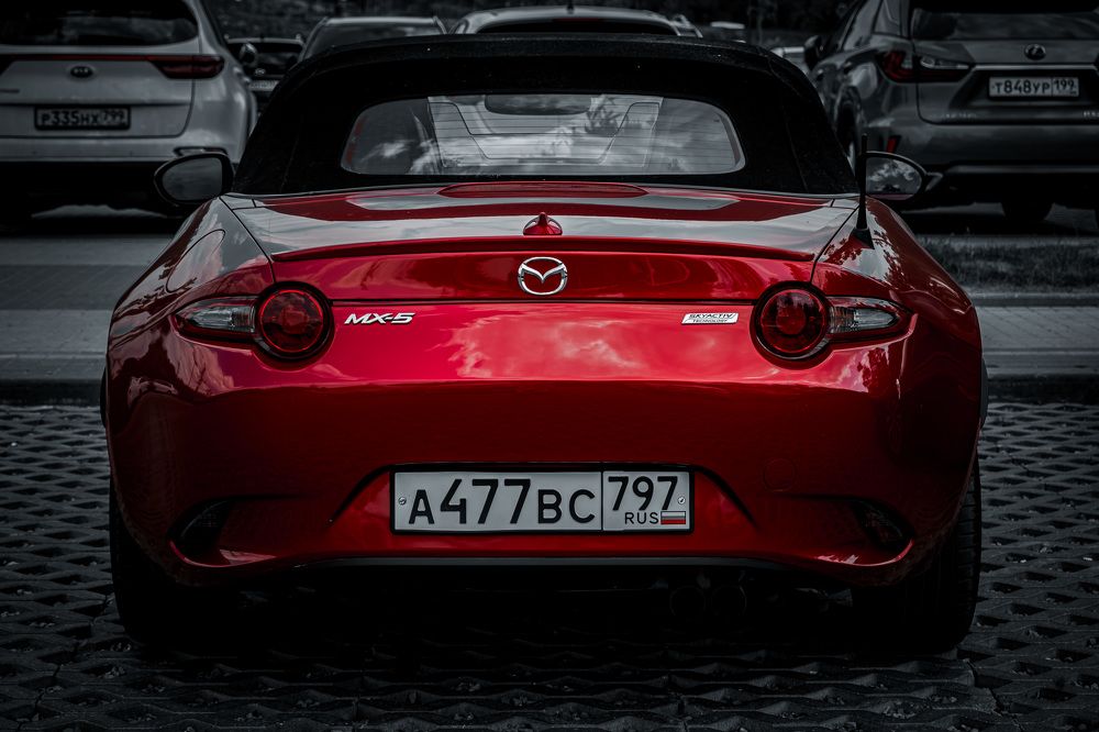 Photograph by Никита Борзов