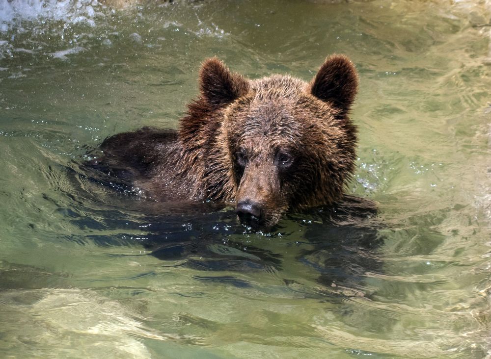 Photograph by Ismail SAIDI