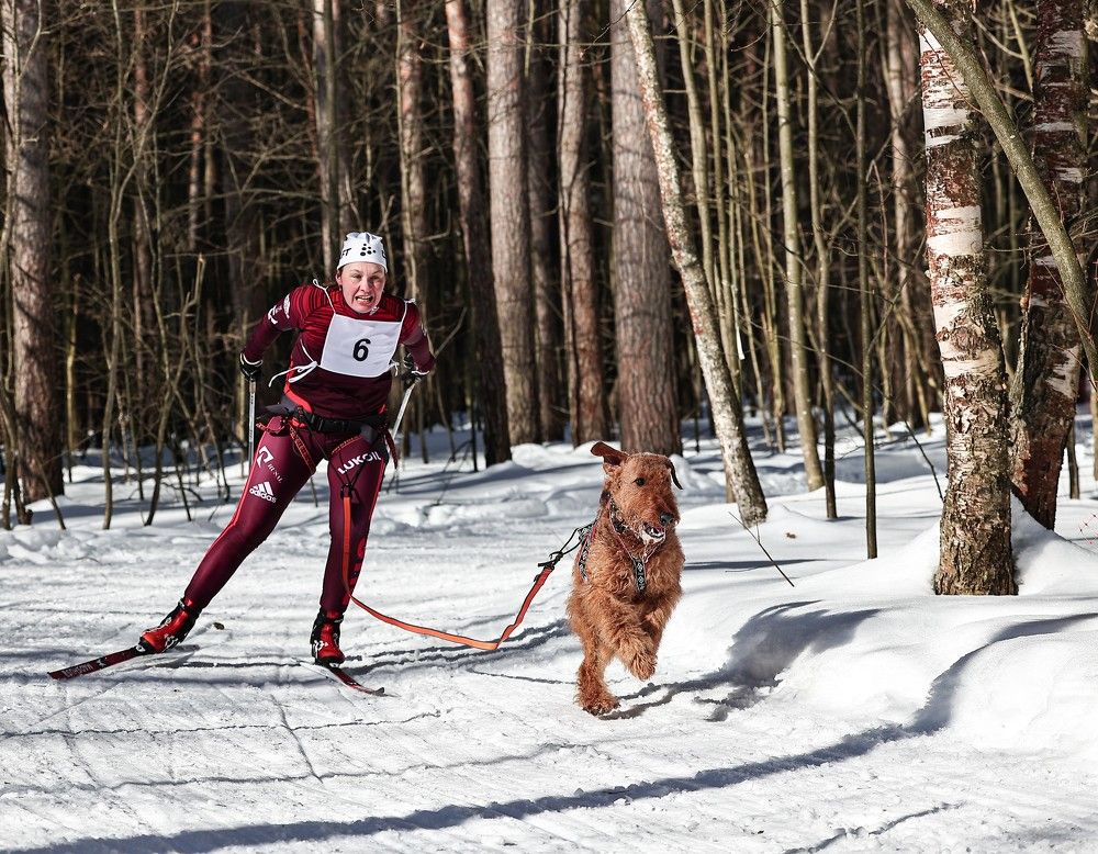 Photograph by Елена Одынец