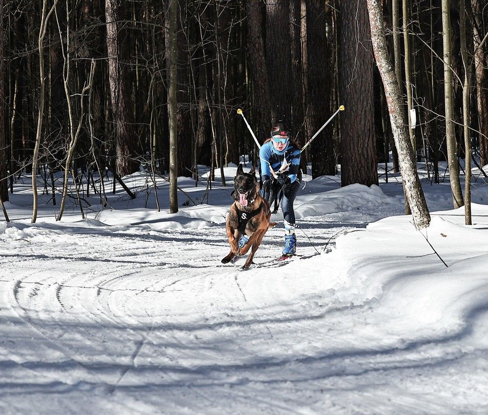 Photograph by Елена Одынец