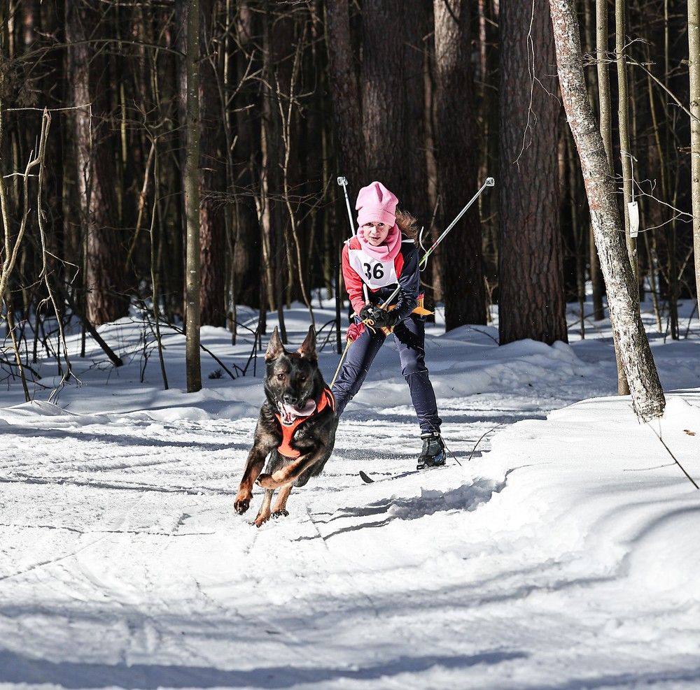 Photograph by Елена Одынец